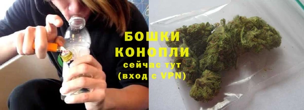 сатива Бугульма