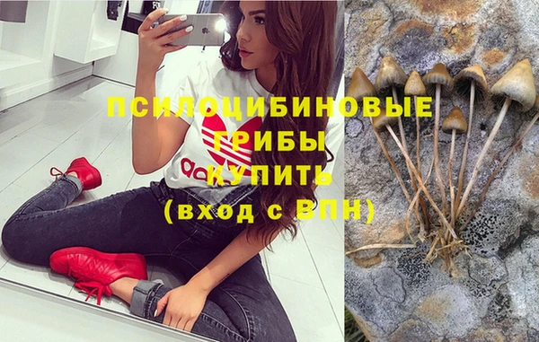 сатива Бугульма