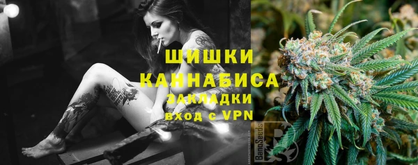 сатива Бугульма