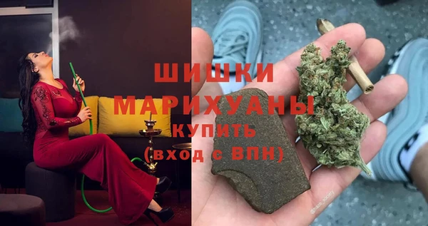 сатива Бугульма