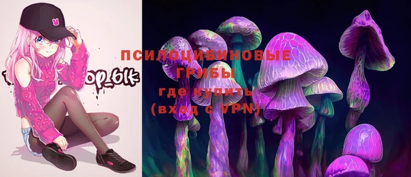 apvp Кодинск