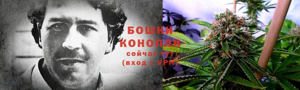 крисы Богородск